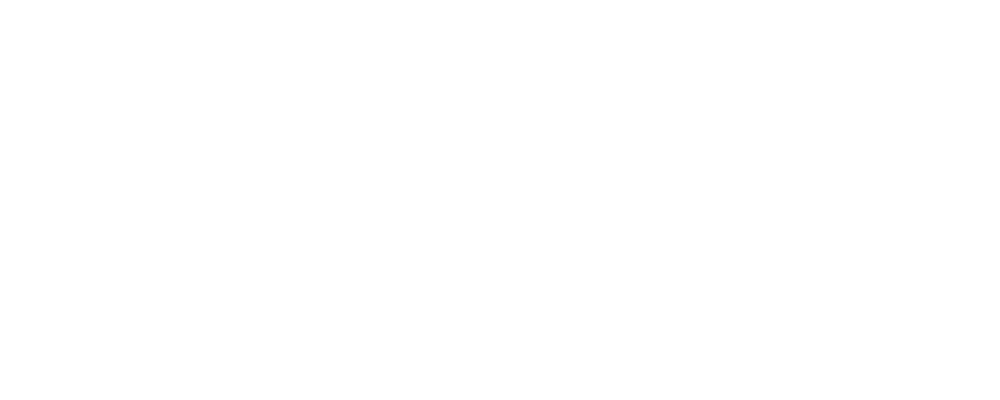 The Kaizen Journal